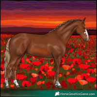 Horse Color:Chestnut 