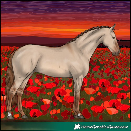 Horse Color:Red Dun 