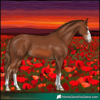 Horse Color:Chestnut 