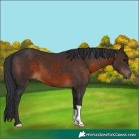 Horse Color:Brown 