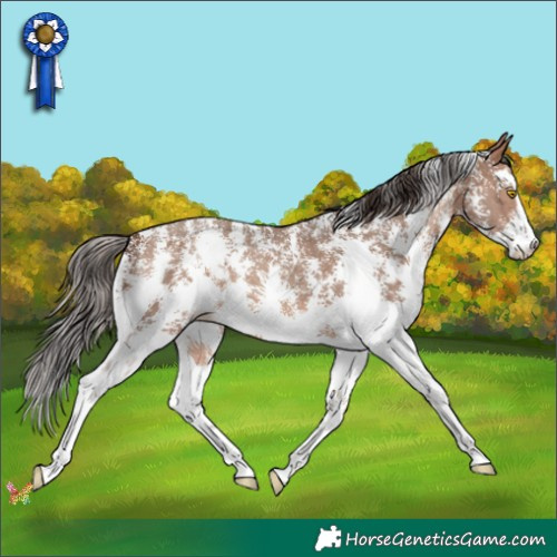 Horse Color:Sable Champagne Sabino 