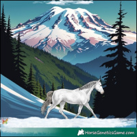 Horse Color:Liver Chestnut Sabino Splash Appaloosa