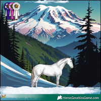 Horse Color:Chestnut Sabino Splash Appaloosa 