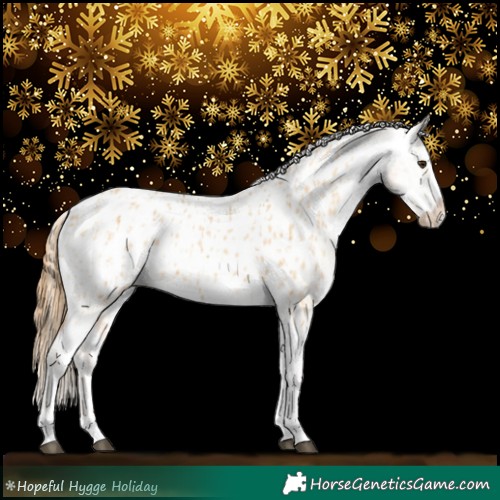 Horse Color:Red Dun Blanket and Red Dun Splash Blanket