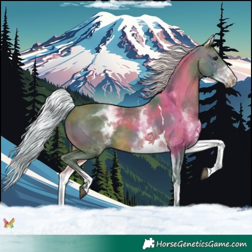 Horse Color:Watercolor White Spotted Silver Brown Tobiano 