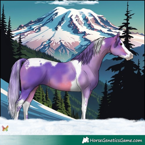 Horse Color:Watercolor Brown Splash Tobiano 