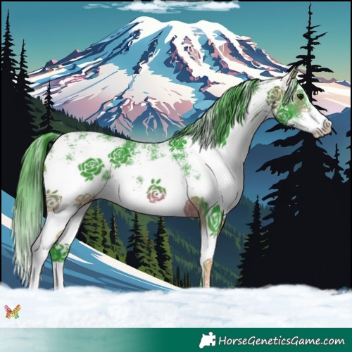 Horse Color:Watercolor White Spotted Bay 