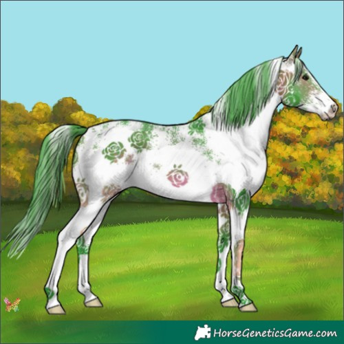Horse Color:Watercolor White Spotted Bay 