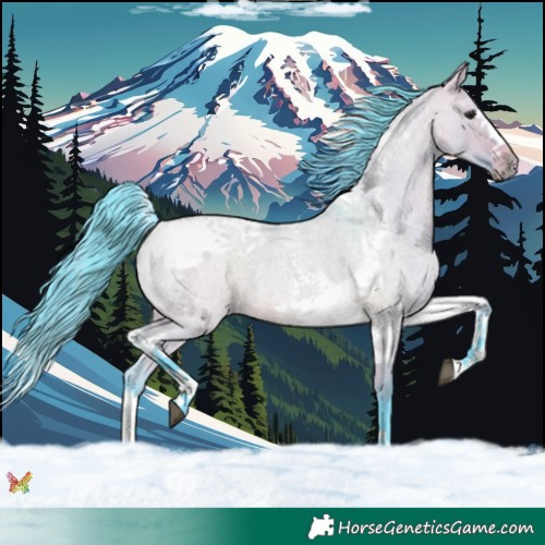 Horse Color:Watercolor Bay Roan Dun Splash Tobiano Frame 