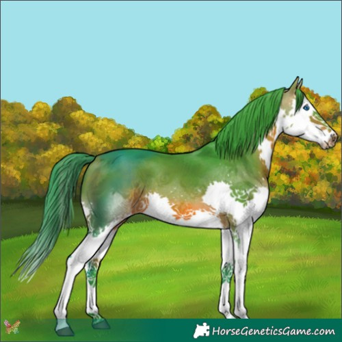 Horse Color:Watercolor Bay Splash Tobiano 