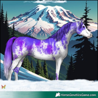 Horse Color:Watercolor White Spotted Brown Splash 