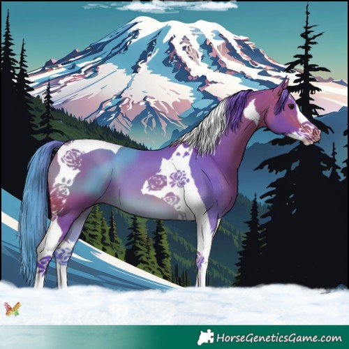 Horse Color:Watercolor Bay Splash Tobiano 