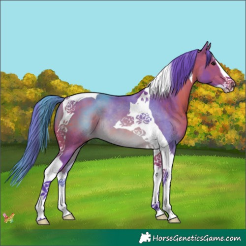Horse Color:Watercolor Bay Splash Tobiano 