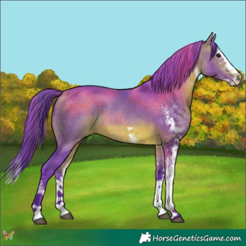 Horse Color:Watercolor White Spotted Bay Splash 