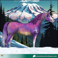 Horse Color:Watercolor White Spotted Bay Splash