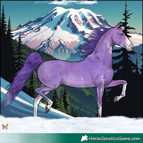 Horse Color:Watercolor White Spotted Brown Dun Splash 