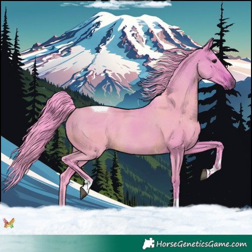 Horse Color:Watercolor Bay Dun Tobiano 