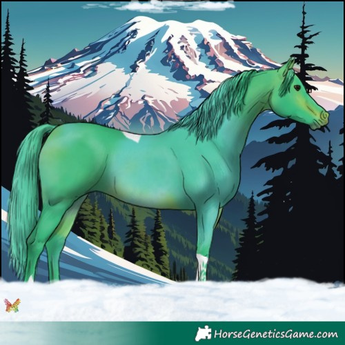 Horse Color:Watercolor Bay Tobiano 