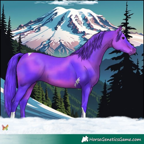 Horse Color:Watercolor Bay Tobiano 