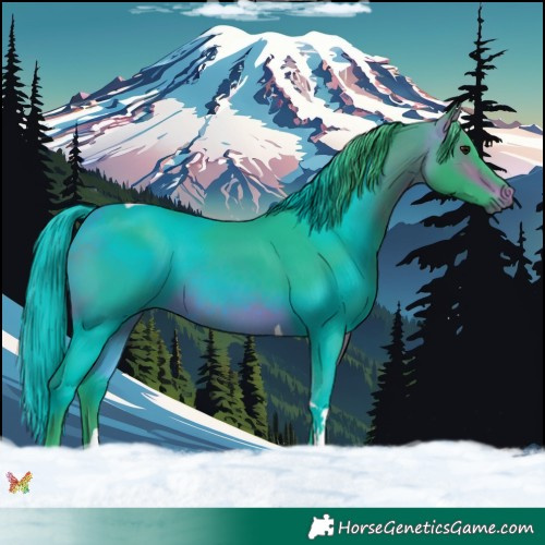 Horse Color:Watercolor Bay Tobiano 