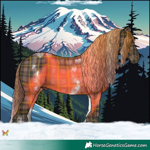 Horse Color:Plaid  White Spotted Liver Chestnut 