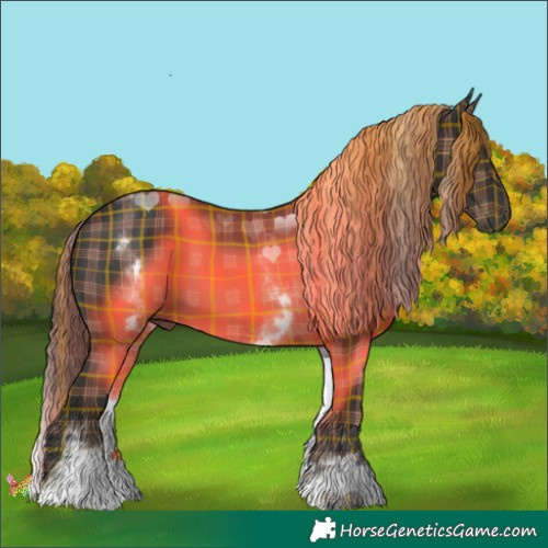 Horse Color:Plaid  White Spotted Liver Chestnut 