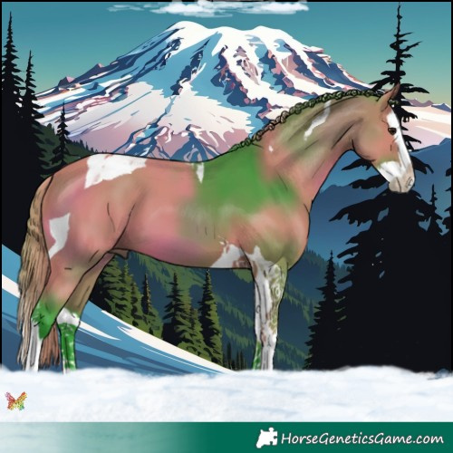 Horse Color:Watercolor Bay Splash Tobiano 