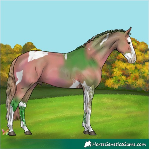 Horse Color:Watercolor Bay Splash Tobiano 