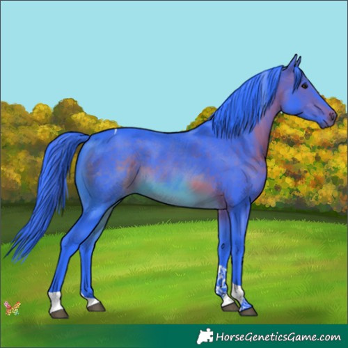 Horse Color:Watercolor Brown Tobiano 