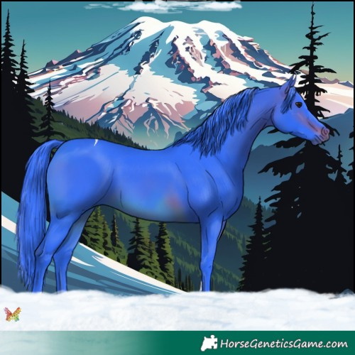 Horse Color:Watercolor Brown Tobiano 