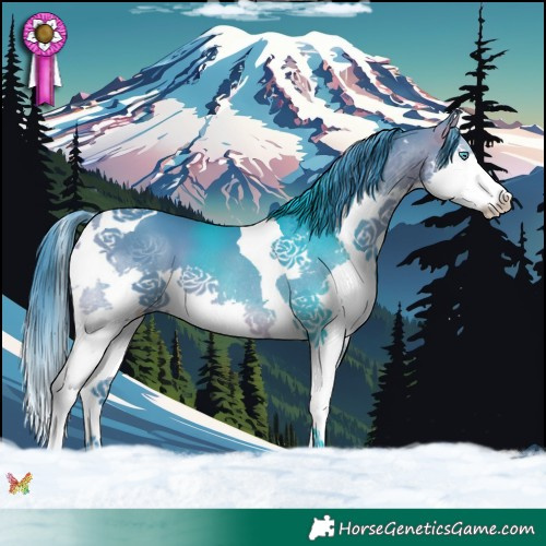 Horse Color:Watercolor Brown Splash Tobiano 