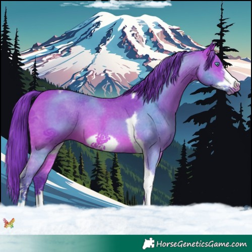 Horse Color:Watercolor Bay Sabino Tobiano Frame 