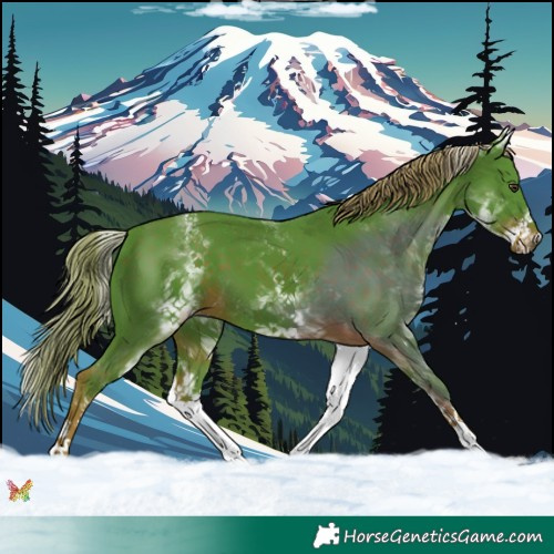 Horse Color:Watercolor White Spotted Liver Chestnut 
