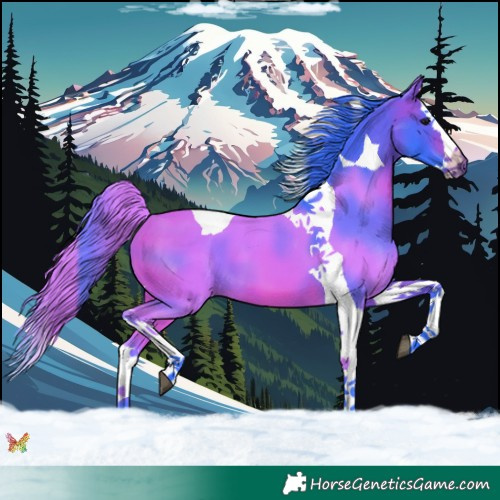 Horse Color:Watercolor Bay Splash Tobiano 