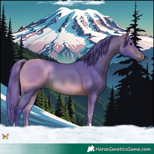 Horse Color:Watercolor Brown Tobiano 