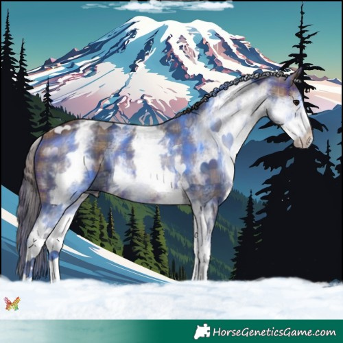 Horse Color:Plaid  White Spotted Brown 
