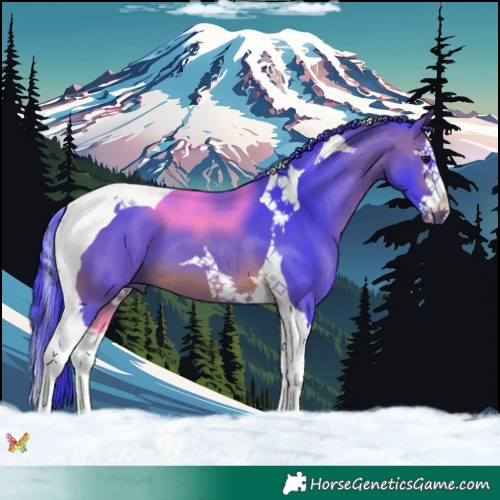 Horse Color:Watercolor Brown Splash Tobiano 