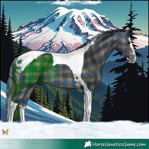 Horse Color:Plaid  Bay Splash Tobiano 