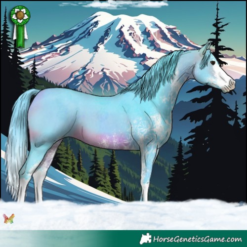 Horse Color:Watercolor White Spotted Bay Splash 