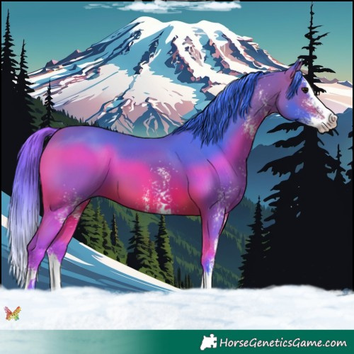 Horse Color:Watercolor White Spotted Bay Splash 