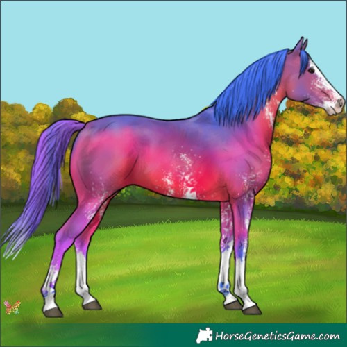 Horse Color:Watercolor White Spotted Bay Splash 