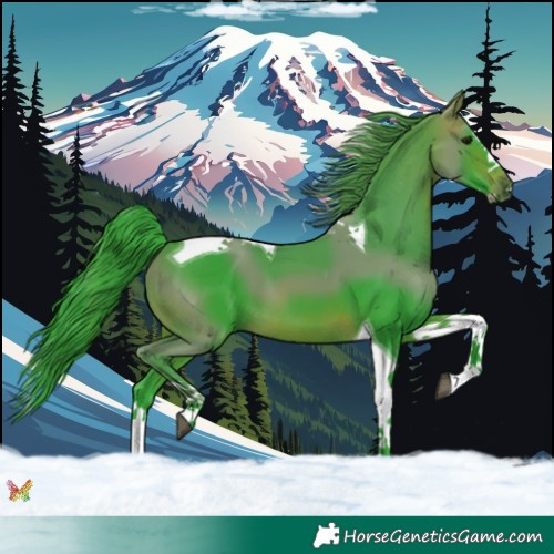 Horse Color:Watercolor Brown Splash Tobiano 