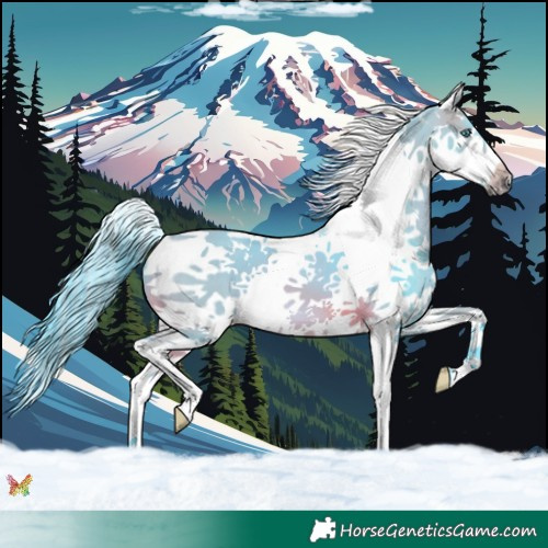 Horse Color:Watercolor Brown Splash Tobiano Frame 