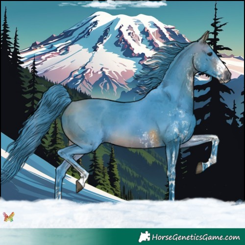 Horse Color:Watercolor White Spotted Bay 