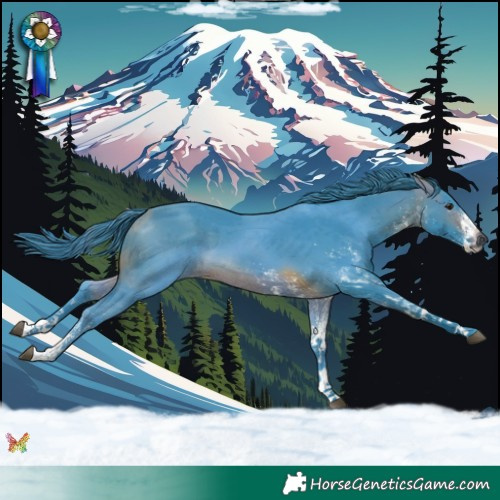Horse Color:Watercolor White Spotted Bay 