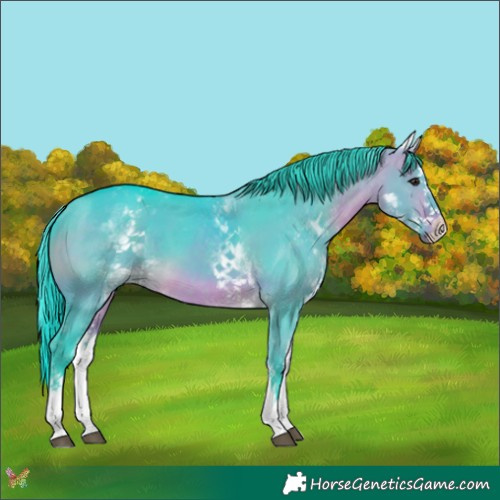 Horse Color:Watercolor White Spotted Bay Dun Splash 