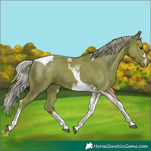 Horse Color:Watercolor Silver Black Tobiano 