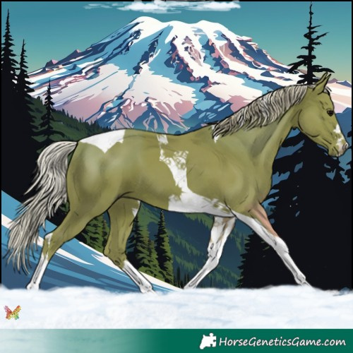 Horse Color:Watercolor Silver Black Tobiano 