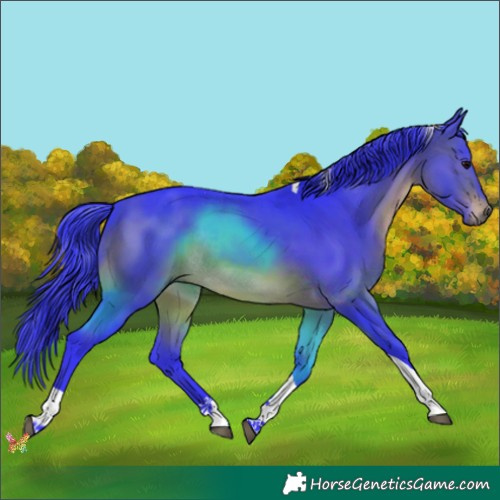 Horse Color:Watercolor Brown Tobiano Rabicano 