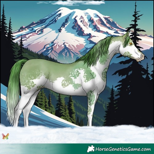 Horse Color:Watercolor Sable Champagne Splash Tobiano 